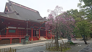 日如上人ご指南① - 日蓮正宗 妙通寺 <ホームページ> 日如上人ご指南① - 日蓮正宗 妙通寺 <ホームページ>