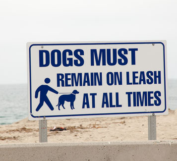 Urlaub mit Hund in St. Peter-Ording