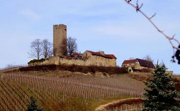 Die mächtige Ruine der Ravensburg hoch über Sulzfeld. Seit ihrer Ersterwähnung 1231 in ununterbrochenem Besitz der Freiherrn Göler von Ravensburg. Gemeinsam mit dem Steinsberg beherrscht sie den Kraichgau. Foto privat