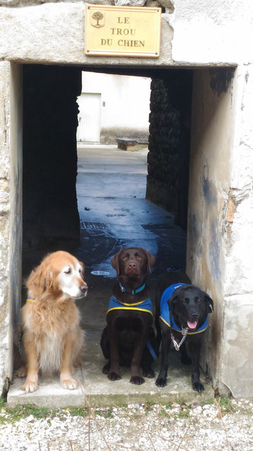 Les trois chiens se tiennent à l'entrée d'un passage en pierre appelée "le trou du chien"