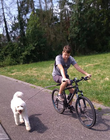 Hugo en VTT avec Medley en laisse spécial vélo à coté