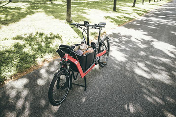 Lasten e-Bikes und Speed-Pedelecs probefahren, vergleichen und kaufen in der e-motion e-Bike Welt Hamm