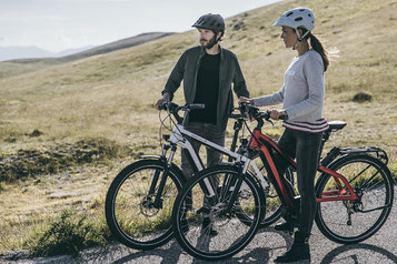Die Riese & Müller e-Bikes kaufen in Herdecke