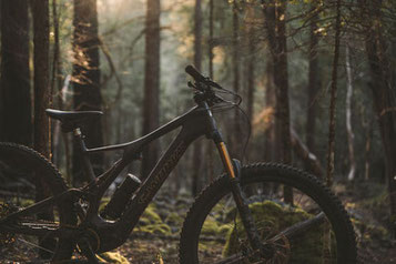 Von außen und innen beeindruckend – das neue Specialized Turbo Levo SL