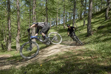 Zwei Männer fahren auf ihrem Giant Trance X E+ Pro 29 den Trail hinunter