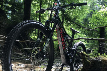 Das neue Specialized Turbo Levo Comp im Wald