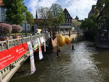 Das Esslinger Entenrennen 2018