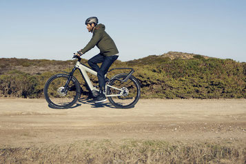 Riese & Müller e-Bikes und Pedelecs in der e-motion e-Bike Welt Wiesbaden
