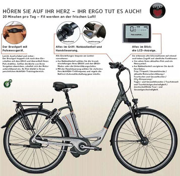 Raleigh Dover Impulse Ergo XXL e-motion