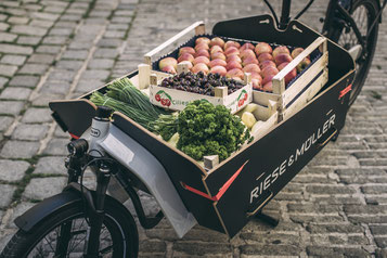 In Schleswig können Sie sich verschiedene Extras zu Ihrem Lasten e-Bike ansehen.