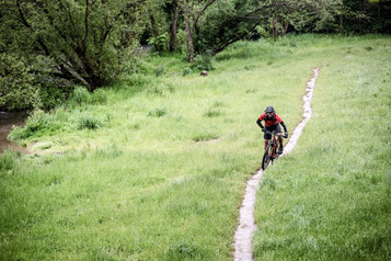 Organisation und Ablauf des e-MTB Fahrtechniktrainings mit HappyTrail oder MTB Xpert