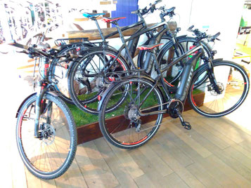 Die neuen Giant e-Bike Modelle bei e-motion Worms