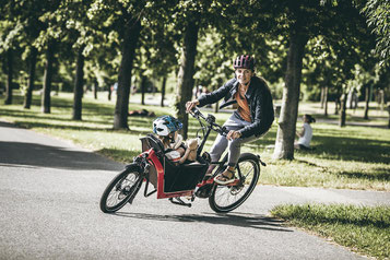 Vielfältiges Sortiment an Lasten e-Bikes in Schleswig