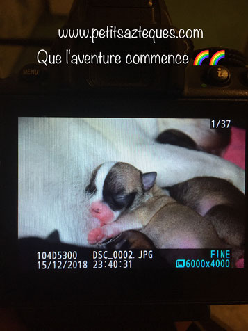 Toutypasse belgique femme cherche homme