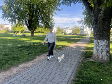 Junghundekurs, Hundetraining, Hundeschule, Butzbach, World of Dogs