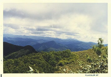 白神山山頂より