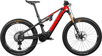Rotwild All Mountain R.X+ e-Mountainbikes 2019