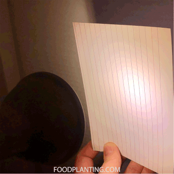 kweeklamp, afstand