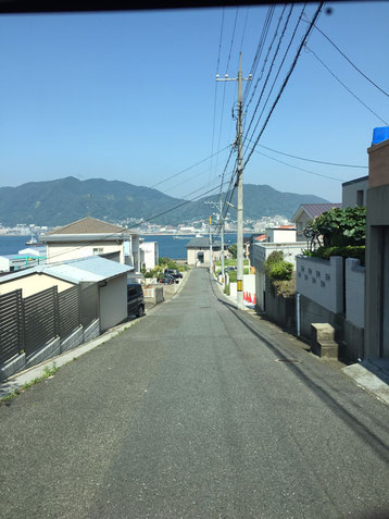 草むしり 草取り 草抜き 草引き 除根