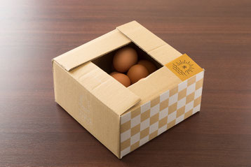 明日(1.6kg) ¥900-