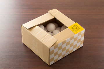 朝日(1.8kg) ¥800-