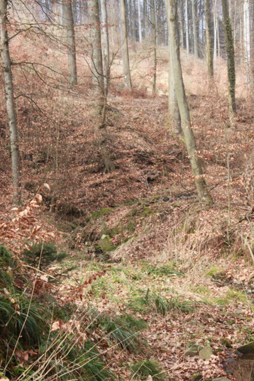 Kälberklamm (G. Franke)