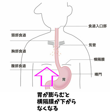 秋 冬になると咳が出て止まらない 愛知県春日井市のみやこ内科クリニック 早朝診療している春日井市の内科 秋 冬になると咳が出て止まらない 愛知県春日井市のみやこ内科クリニック 早朝診療している春日井市の内科