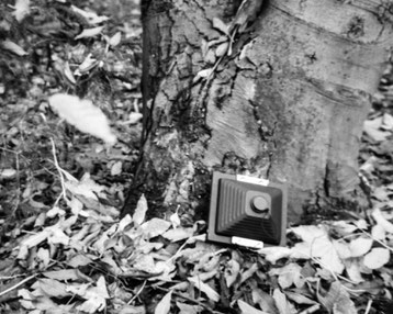 large format pinhole camera from HARMAN TiTAN