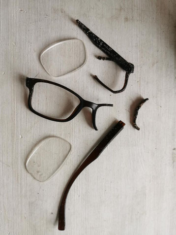 Mein letzter Wille: Frauchen mit Brille!