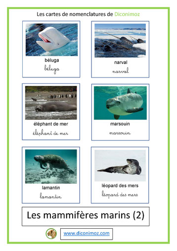 cartes de nomenclature ecriture cursive et script animaux marins 2