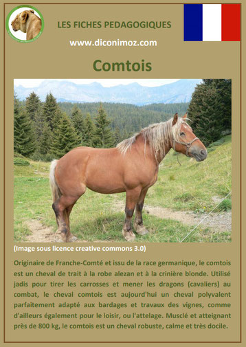 fiche cheval chevaux comtois trait origine caractere comportement robe race