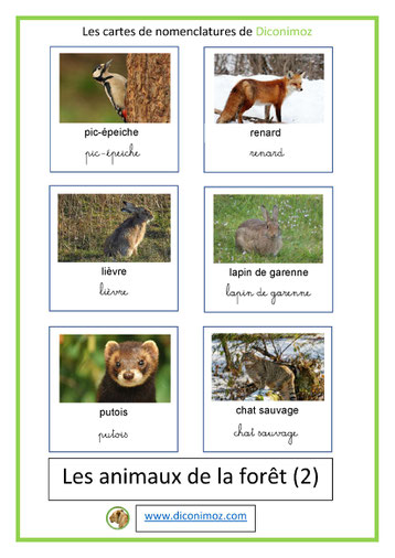 cartes de nomenclature ecriture cursive et script animaux foret 2