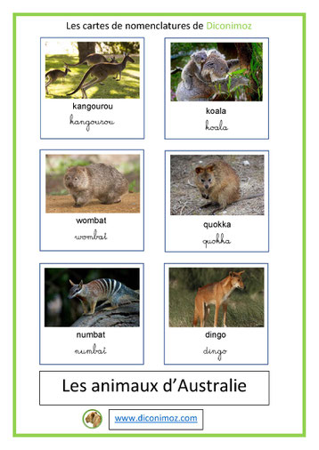 cartes de nomenclature ecriture cursive et scriptanimaux australie