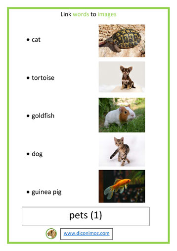 link words to images pets lesson