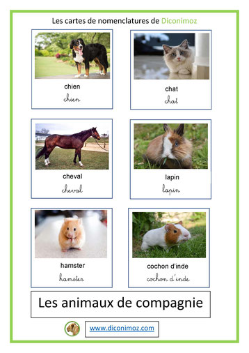 cartes de nomenclature ecriture cursive et script animaux de compagnie