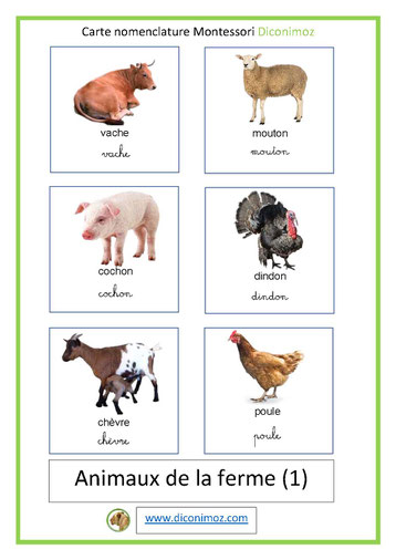 carte montessori fond blanc animaux de la ferme  ecriture cursive et script