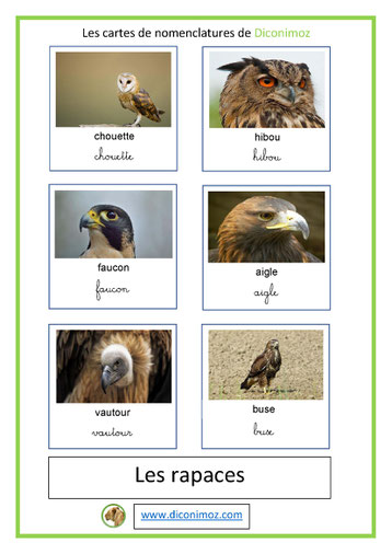 cartes de nomenclature ecriture cursive et script animaux rapaces