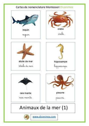 carte fiche de nomenclature français montessori ecriture cursive script animaux de la mer