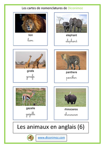 carte nomenclature animaux en anglais