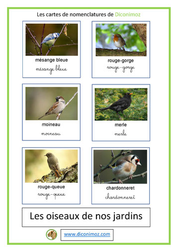 cartes de nomenclature ecriture cursive et script animaux oiseaux jardins