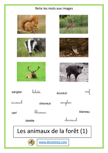 relie les mots aux images animaux 1