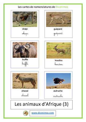 carte fiche de nomenclature  français animaux afrique ecriture cursive script