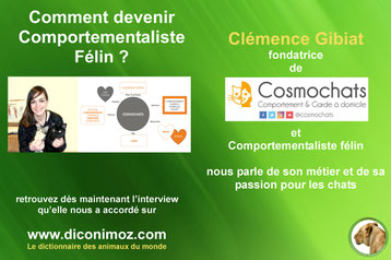 interview clemence gibiat comportementaliste felin