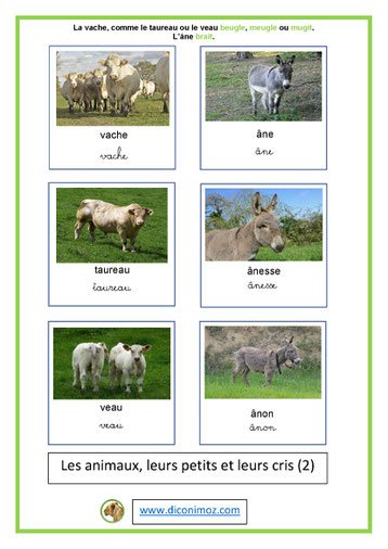 carte nomenclature animaux et petits et leurs cris 2