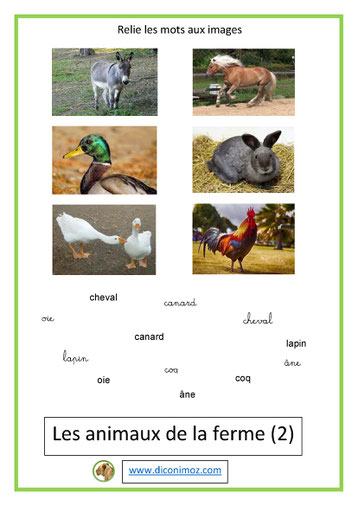 relie les mots aux images animaux 3