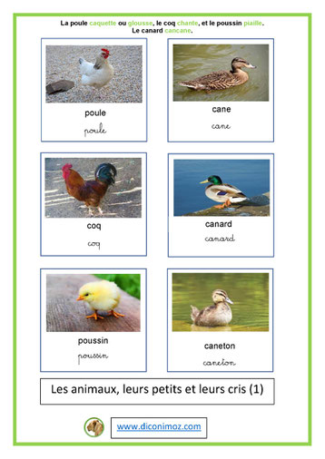 carte nomenclature animaux et petits et leurs cris