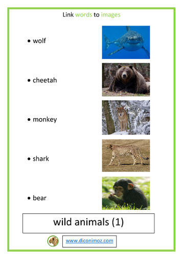 link words to images wild animals lesson