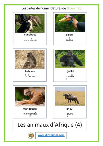 carte fiche de nomenclature français montessori ecriture cursive script animaux afrique