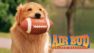 affiche du film air bud avec chien golden retriever