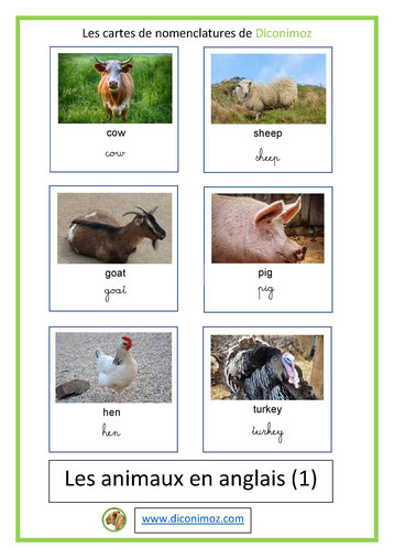 cartes de nomenclatures le nom des animaux en anglais animal card montessori